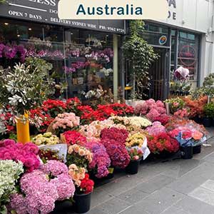Consegne in Australia