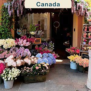 Consegna fiori in Canada