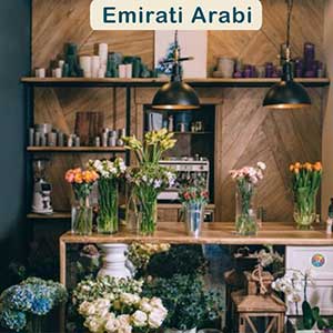 Consegne in Emirati Arabi