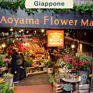 Consegne in Giappone