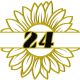 Fiori Online 24