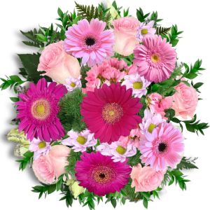 Sweety