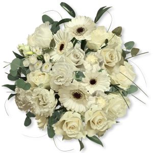 Blanca