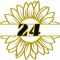 Fiori Online 24