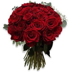24 Rose Rosse