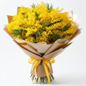 Mimosa