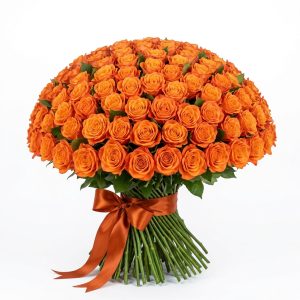 100 Rose