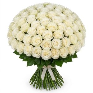 100 Rose