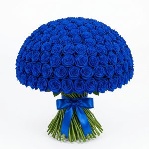 100 Rose