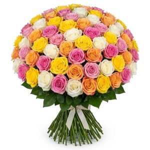 100 Rose
