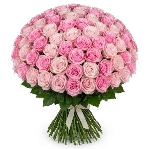 100 Rose