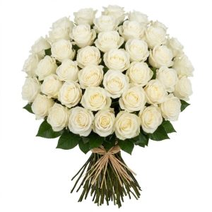 40 Rose