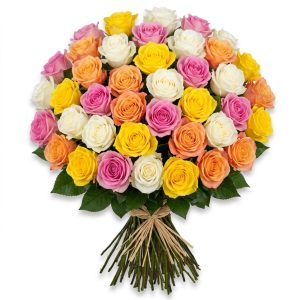 40 Rose