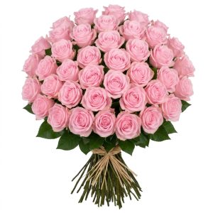 40 Rose