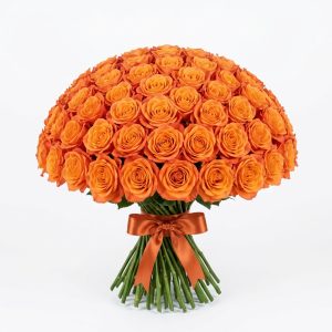 50 Rose
