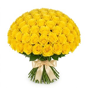 50 Rose