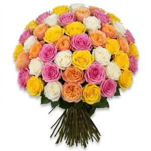 50 Rose