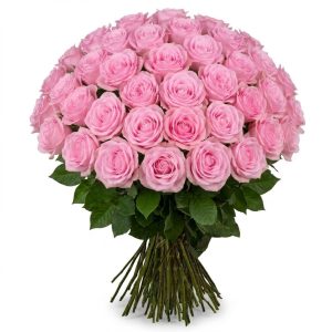 50 Rose