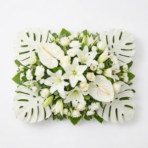 Cuscino Lubiana