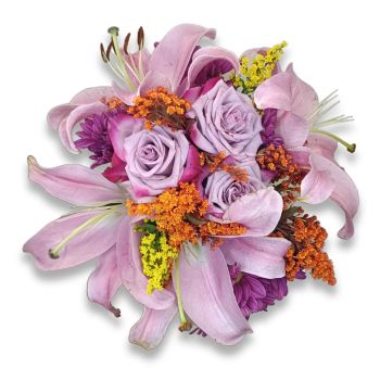 Tu Si &rsquo;Na Cosa Grande