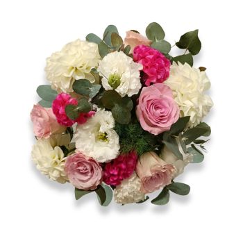 Meravigliosa Creatura