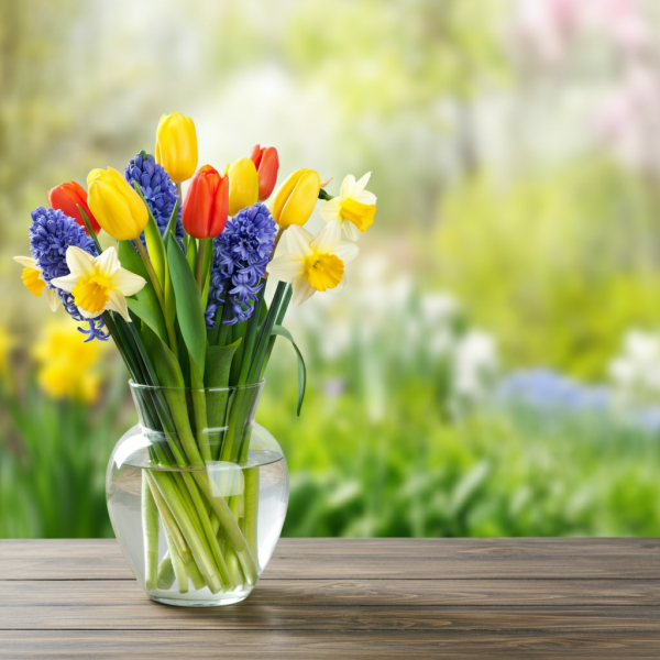 Bentornata Primavera! I Fiori di Stagione Preferiti di Elena Rossi (e i suoi segreti per sceglierli)